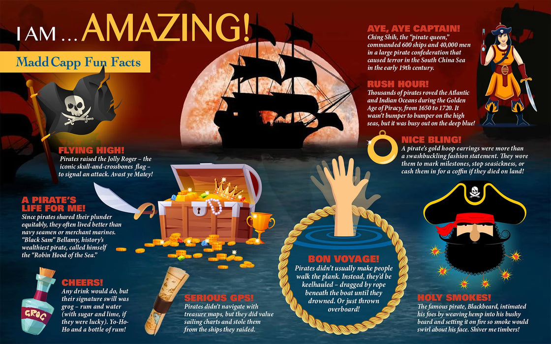 I AM Pirate (1000 pc)