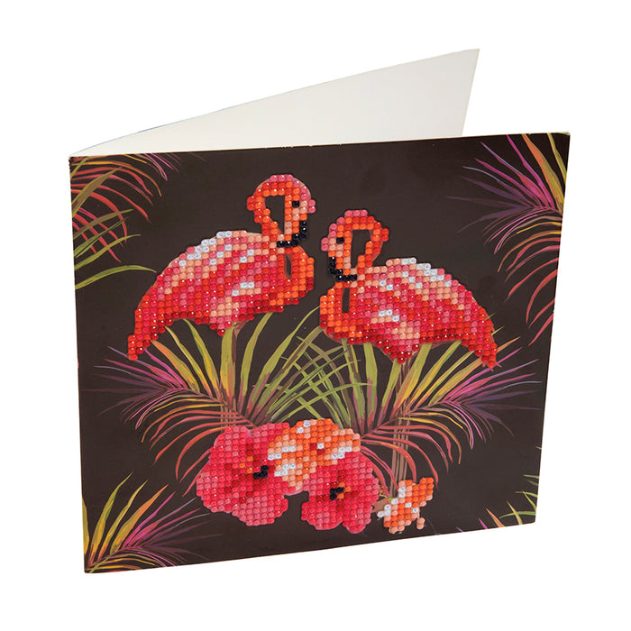 CA Card Kit: Flamingos