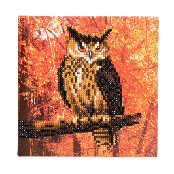 CA Card Kit: Autumn Owl