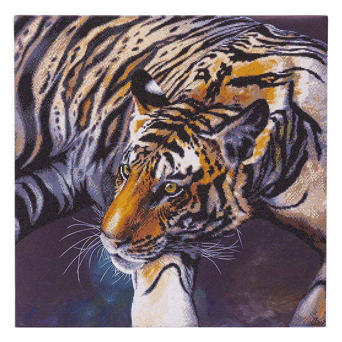Kit CA Mtd (taille XL B) : Le Tigre