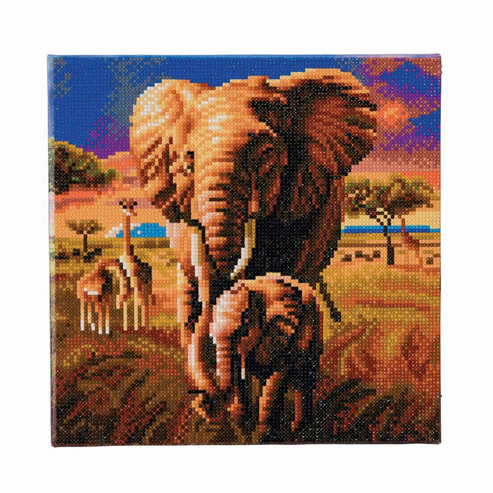 CA Mounted Kit (Med): Éléphant de la savane