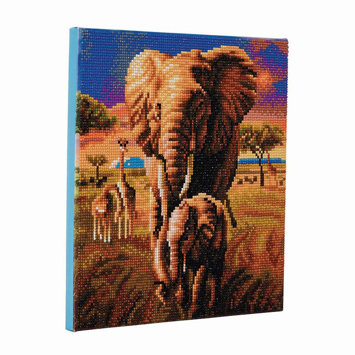 CA Mounted Kit (Med): Éléphant de la savane