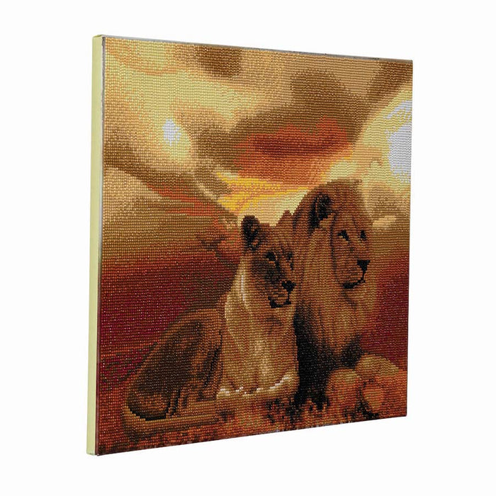CA Mounted Kit (Lg): Lions de la savane