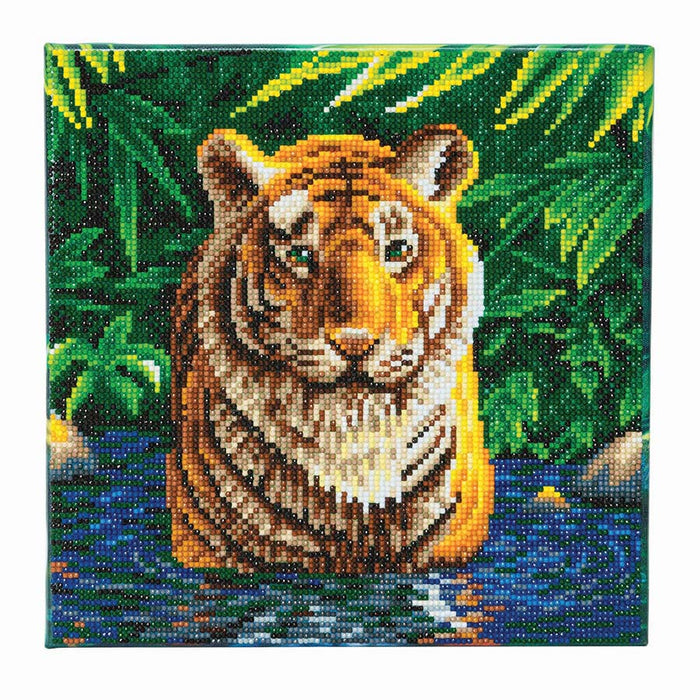 Kit de montage CA (Med) : Tiger Pool