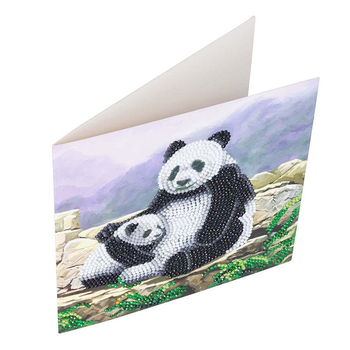 Kit de cartes CA : Panda