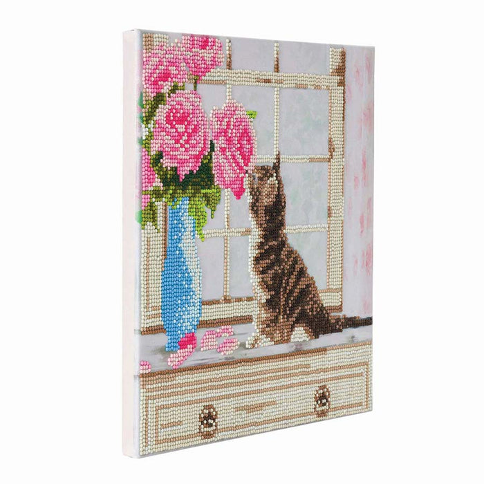 CA Mounted Kit (Med): Cat