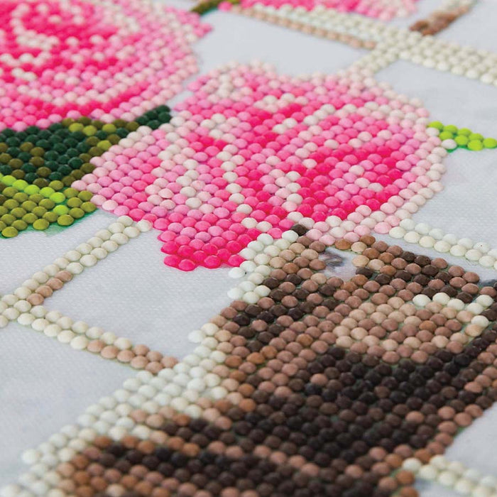 CA Mounted Kit (Med): Cat