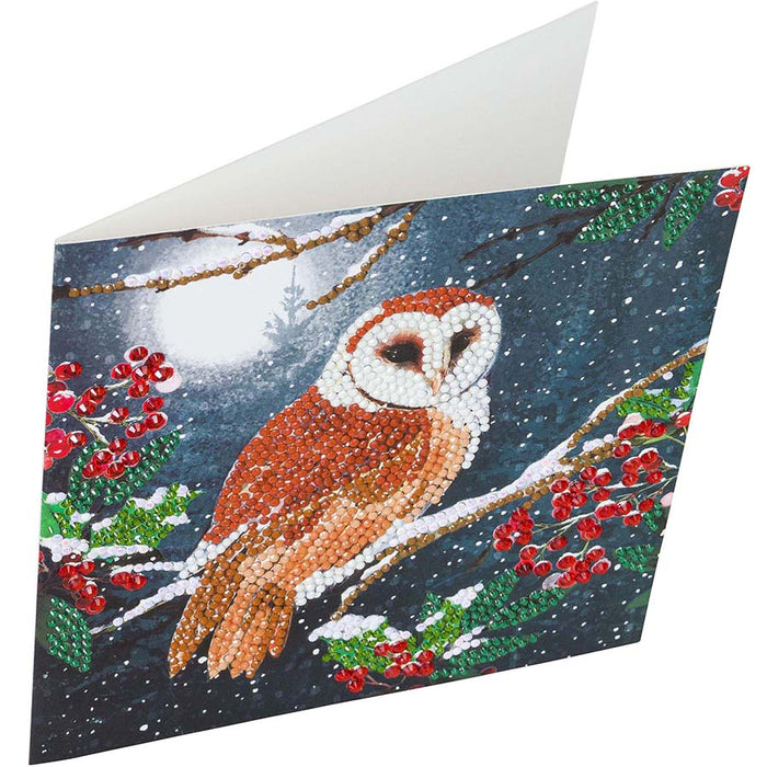CA Card Kit: Barn Owl