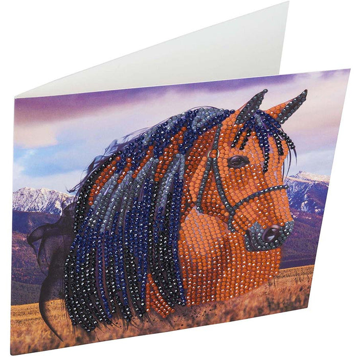 CA Card Kit: Horse