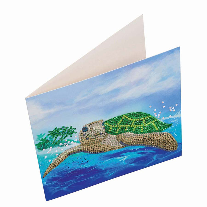 Kit de carte CA : paradis des tortues