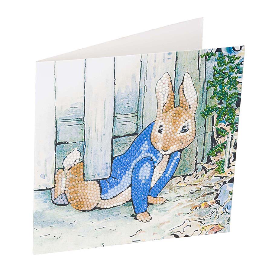 CA Card Kit: Peter Rabbit Under the Fence — Outset Media