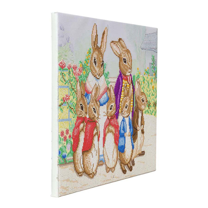 CA Mounted Kit (Lg): Peter Rabbit et sa famille