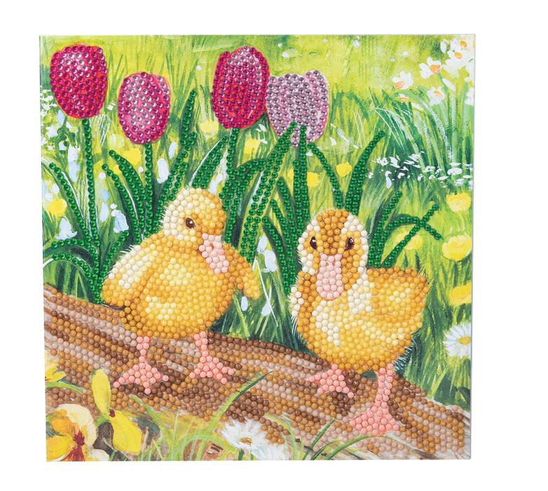 CA Card Kit: Spring Chicks