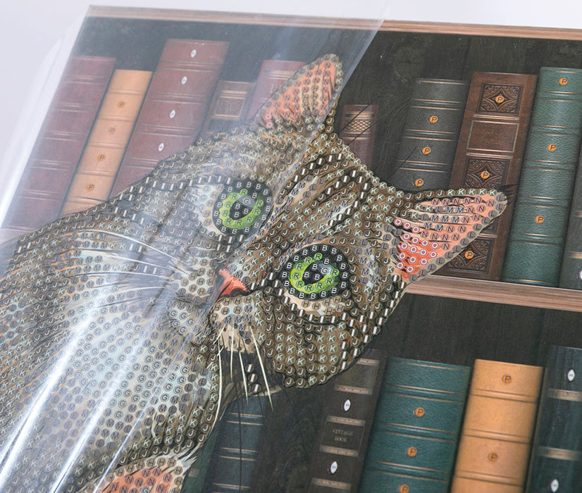 CA Notebook Kit: Cats in the Library