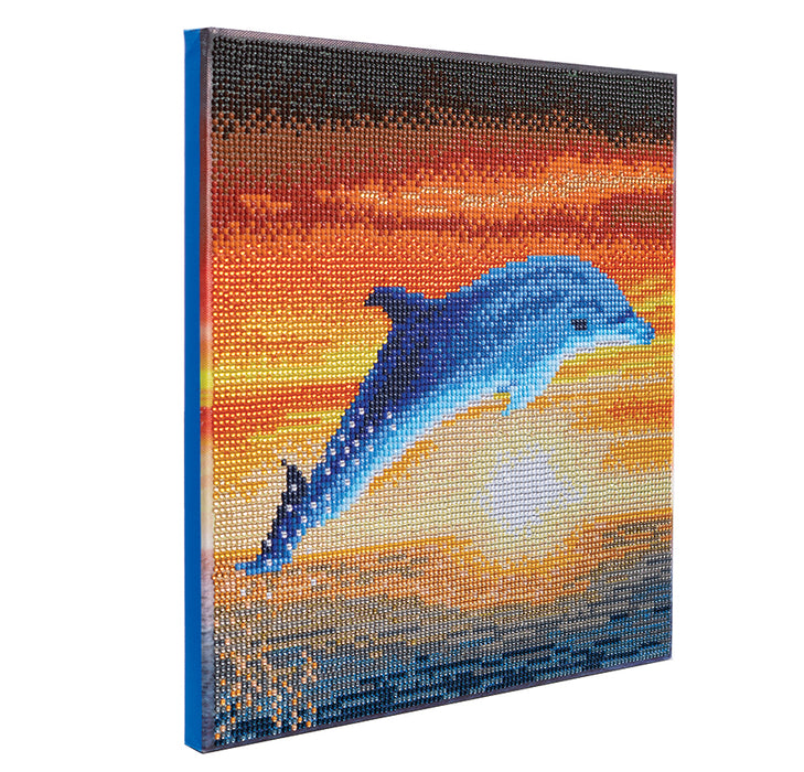 CA Mounted Kit (Med): Dolphin Sunrise