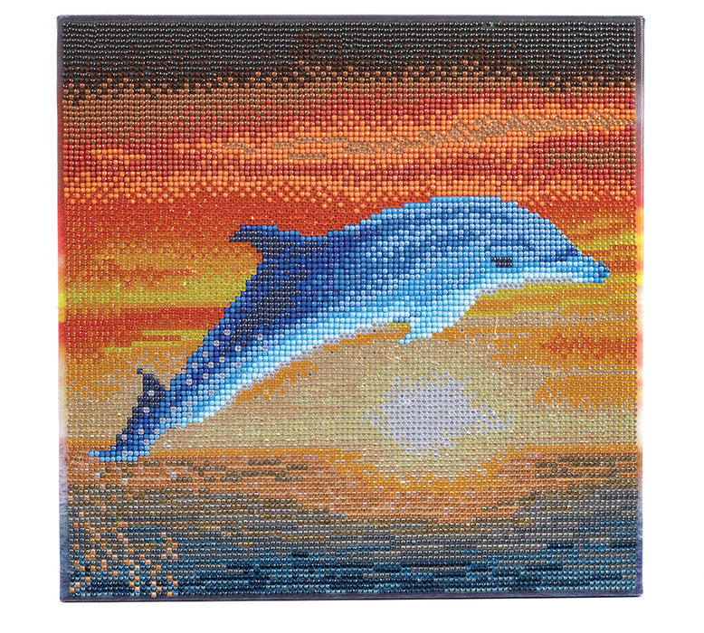 CA Mounted Kit (Med): Dolphin Sunrise