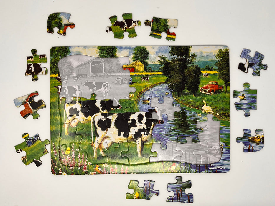 Cow Stream (tray)  | 35 Piece Tray