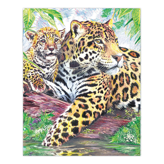 CPN Jaguar by Pool