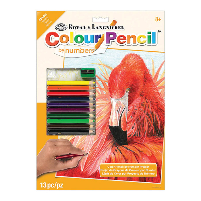 CPN Flamingo