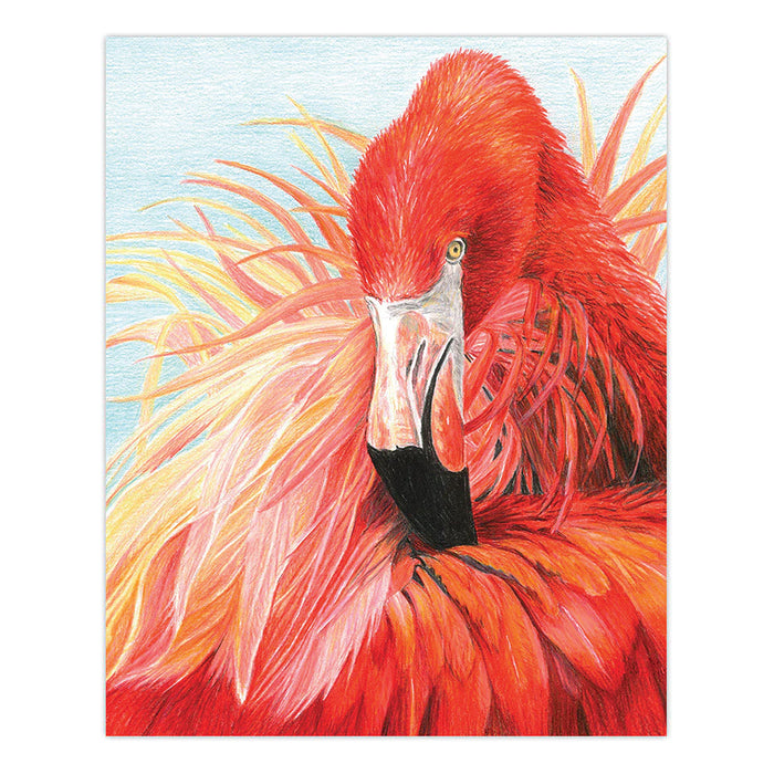 CPN Flamingo