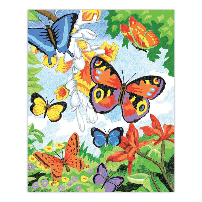CPN Butterflies