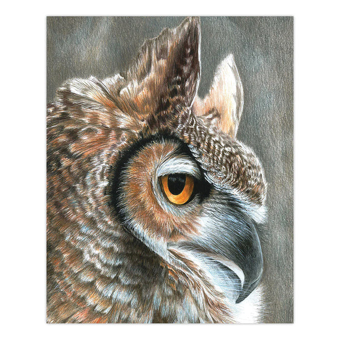 CPN Sepia Owl