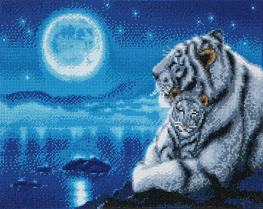 Kit monté CA (Lg) : Lullaby White Tigers