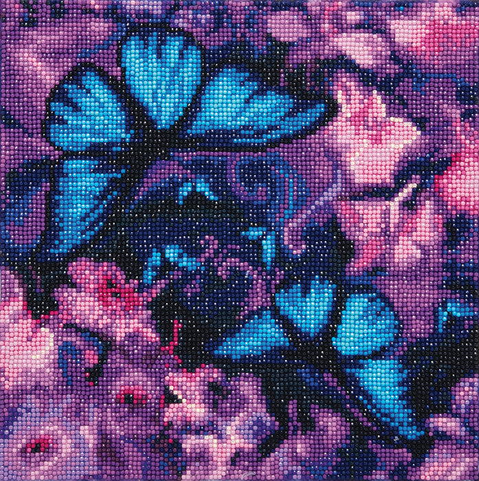 CA Mounted Kit (Med) : papillons violets bleus