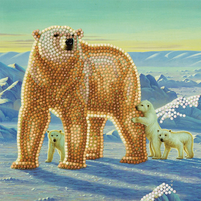 CA Card Kit: Polar Family