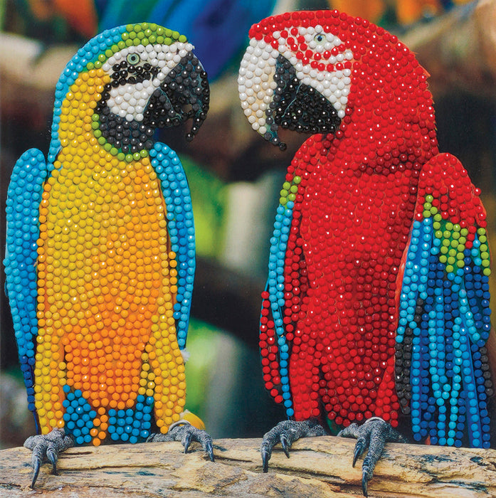 CA Card Kit: Parrot Friends