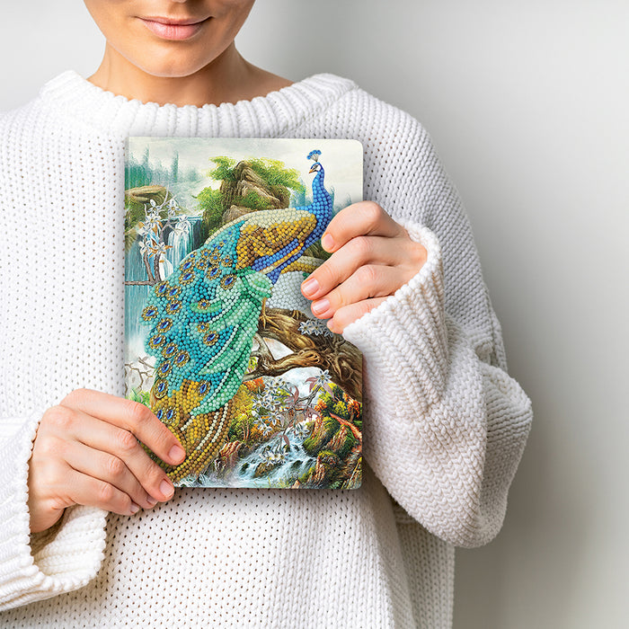 CA Notebook Kit: Peacock Waterfall — Outset Media