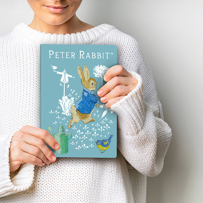 CA Notebook Kit: Peter Rabbit