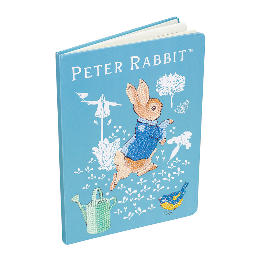 CA Notebook Kit: Peter Rabbit — Outset Media