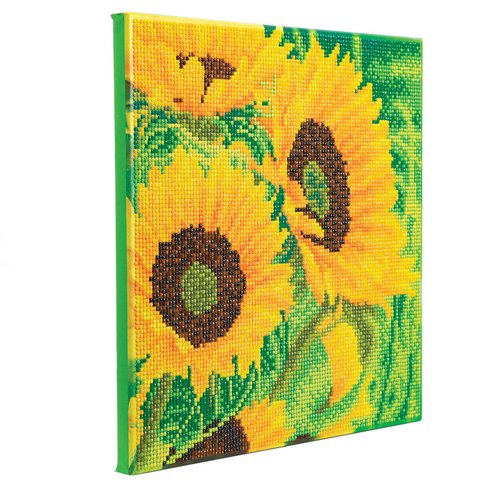 CA Mounted Kit (Med): Sunflower Joy