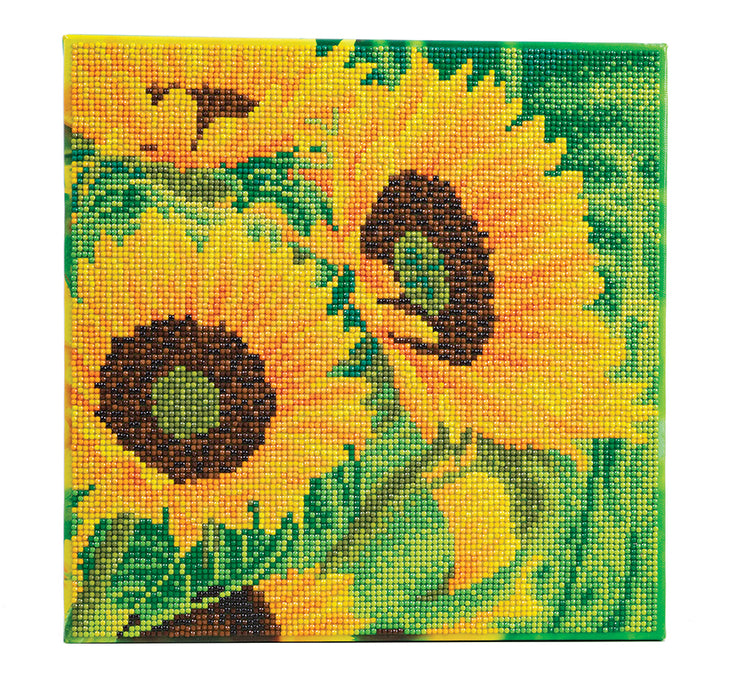 CA Mounted Kit (Med): Sunflower Joy