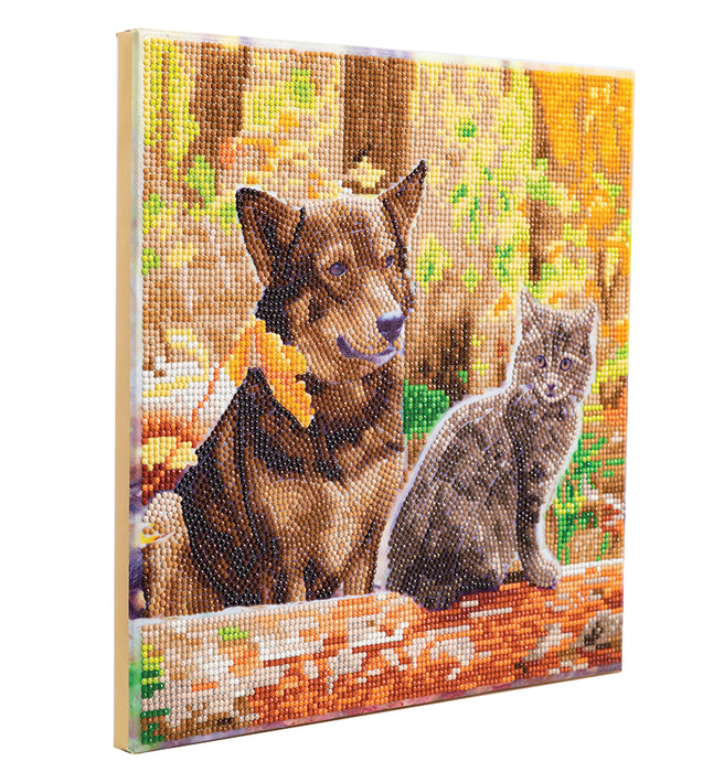 CA Mounted Kit (Med) : chat et chien dans les bois