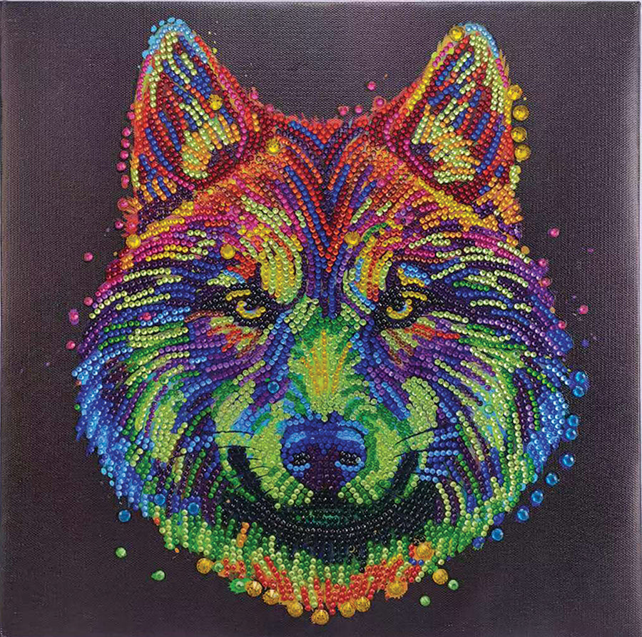 CA Mounted Kit (Med): Colorful Wolf — Outset Media