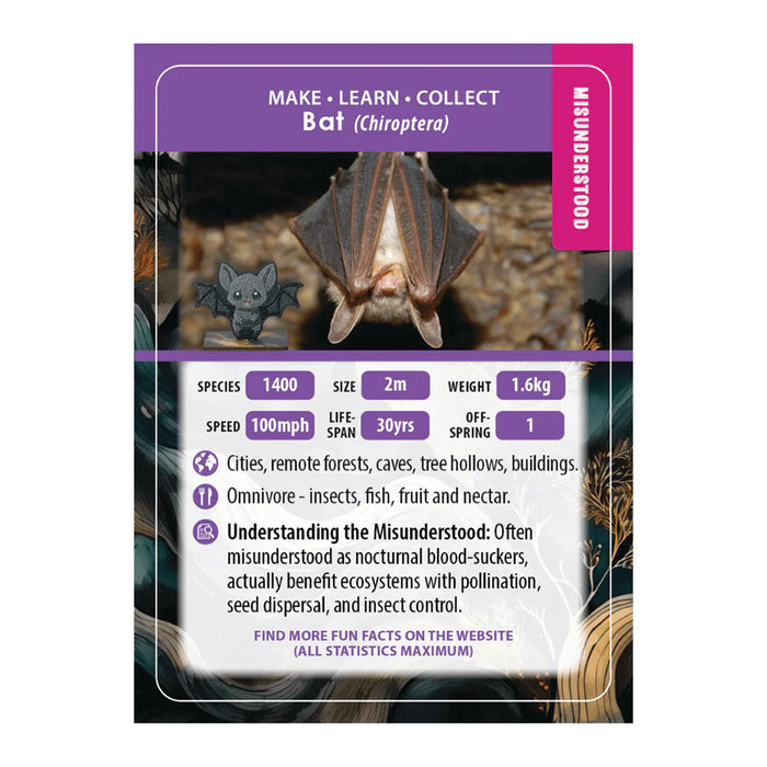 CA Buddies : Exotique (assortiment de 30 en PDQ)