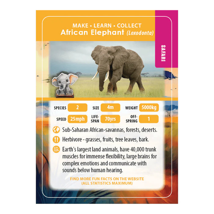 CA Buddies : Exotique (assortiment de 30 en PDQ)