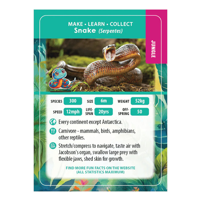 CA Buddies : Exotique (assortiment de 30 en PDQ)