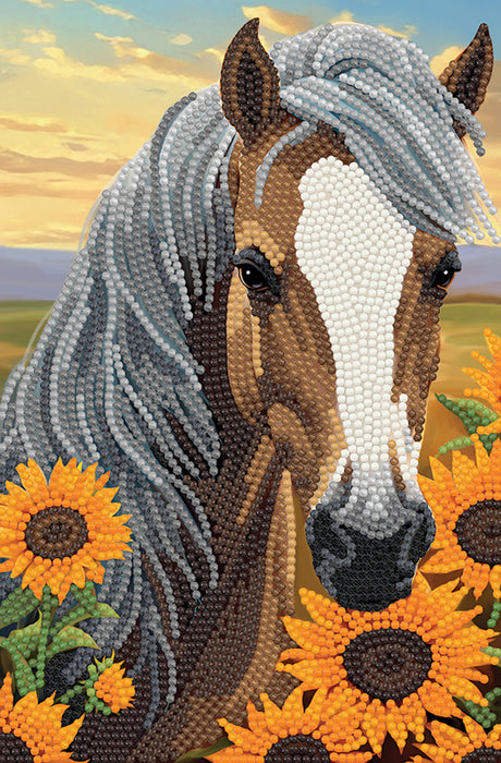 CA Notebook Kit: Horse