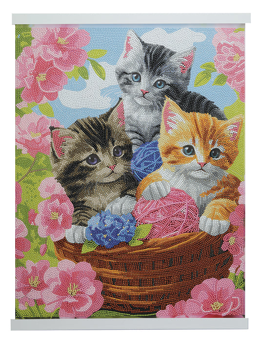CA Scroll Kit: Playful Cats