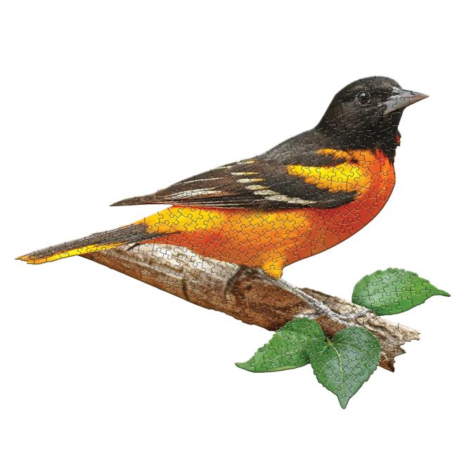 I AM Oriole (300 pc)