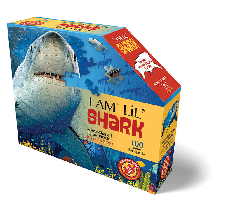 I AM Lil' Shark (100 pc)
