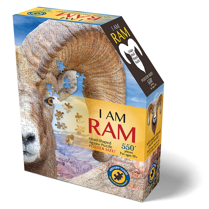 I AM Ram (550 pc)