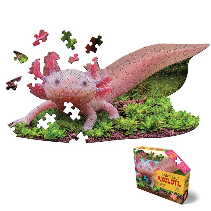 I AM Lil' Axolotl (100 pc)