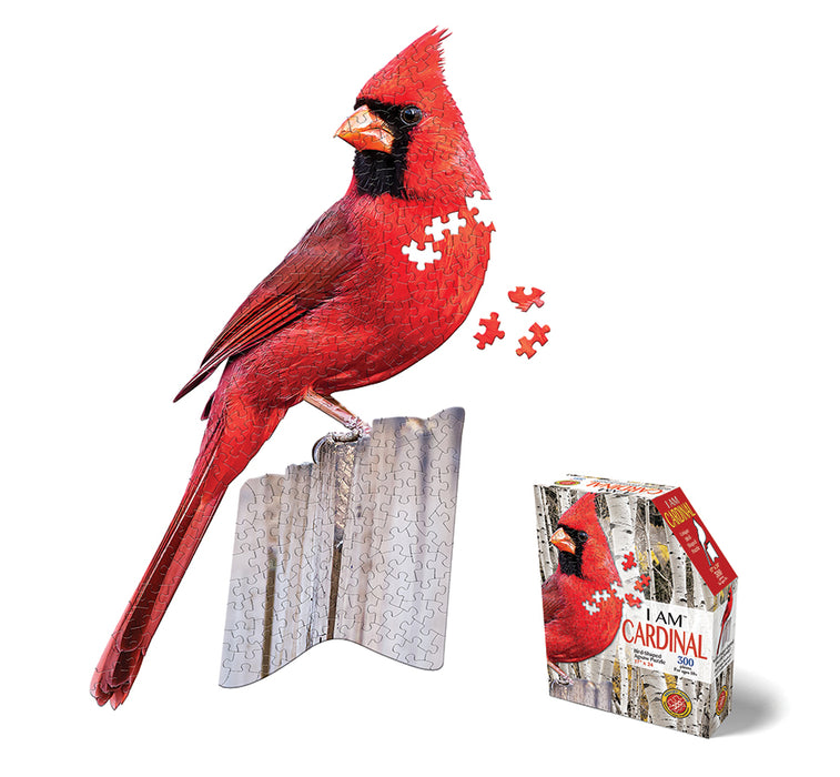 I AM Cardinal (300 pc)