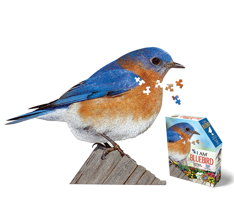 I AM Bluebird (300 pc)