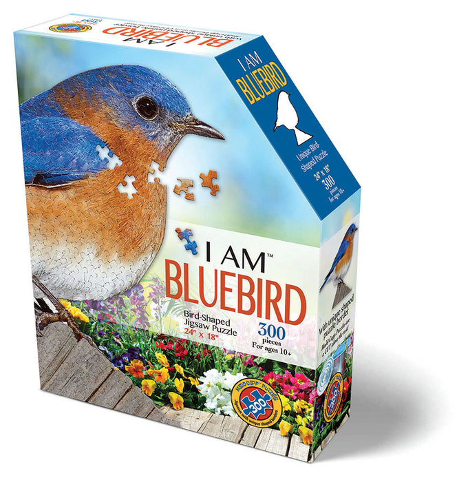 I AM Bluebird (300 pc)