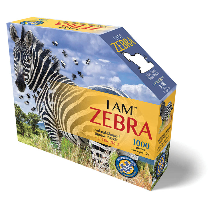 I AM Zebra (1000 pc)
